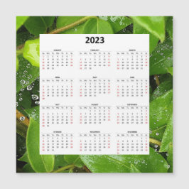 Sänk Spindelnätet 2023 Magnetisk kalender