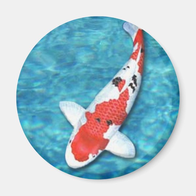 Sanke Magnet (Framsidan)