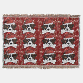 Sankt Bernhard  Filt