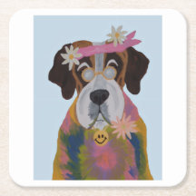 Sankt Bernhard Hippie