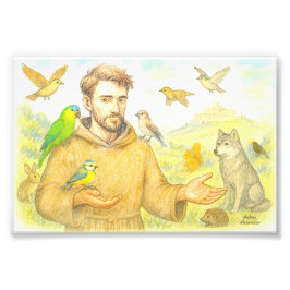Sankt Francis - seronen till fåglar och djur Fototryck