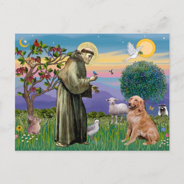 Sankt Franciskus - Golden Retriever (#1) Vykort (Framsida)