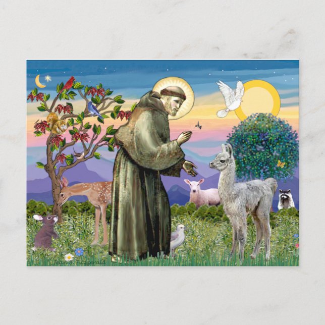 Sankt Franciskus och lama baby Vykort (Framsida)
