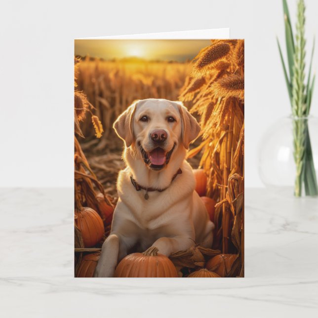 Sankt Thanksgiving med Yellow Lab Helgkort (Framsida)