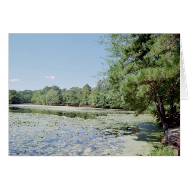 Sanktuary Hälsningskort (Framsidan Horizontal)