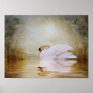 Sanktuary inom poster