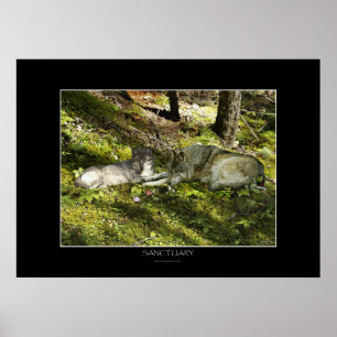 SANKULÄR konst Poster