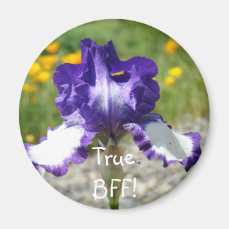 Sann BFF! magnet present Violet Iris Blomma magnet
