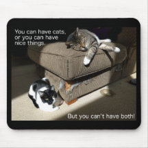 Sanning i den Katt-vertisingkattMeme musen