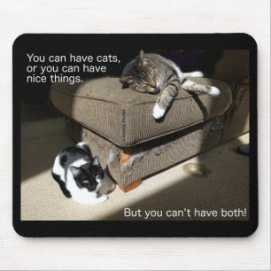 Sanning i den Katt-vertisingkattMeme musen Musmatta