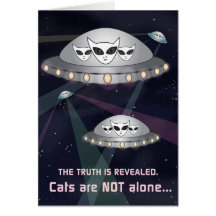 Sanningen är uppenbar: Katter är inte Ensam!