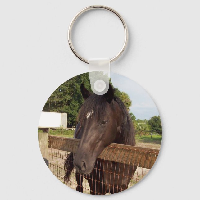 sansad nyckelring (Framsida)