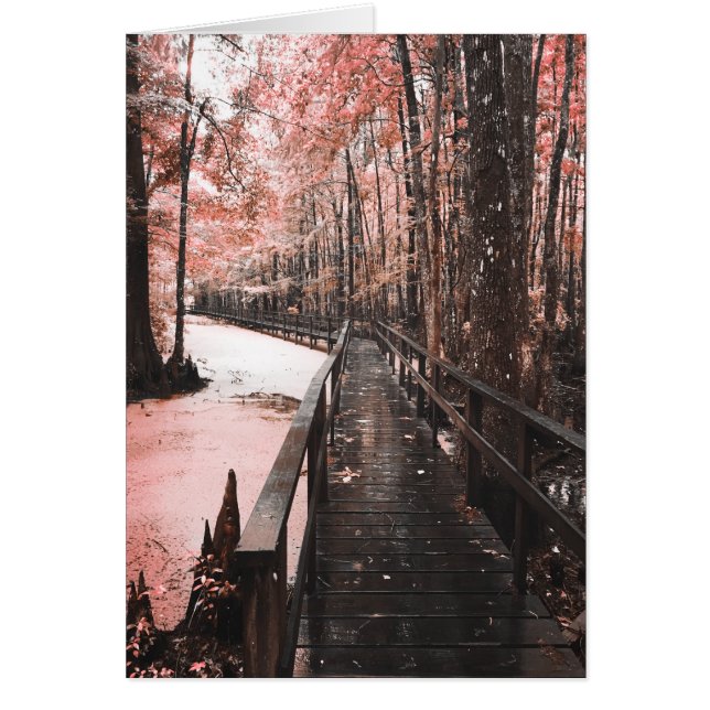 sansad träskdröm OBS kort (Framsidan)