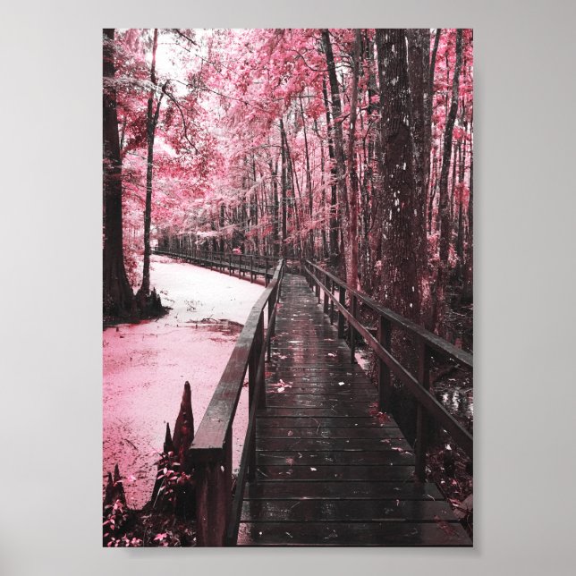 sansad träskdrömmare poster (Framsidan)