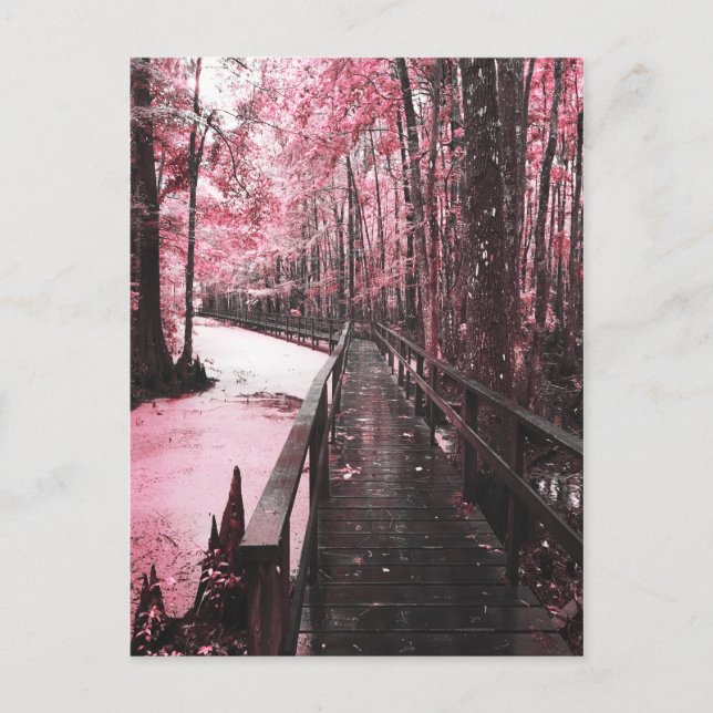 sansad träskdrömmare vykort (Framsida)