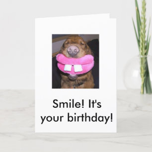 Sånt, Smile! Det är din födelsedag! Kort