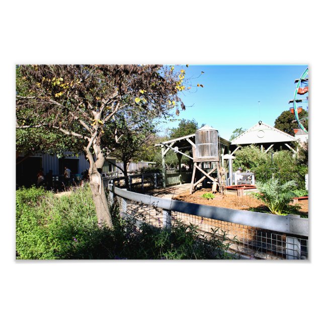 Santa Ana Zoo Fototryck (Framsidan)