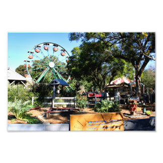 Santa Ana Zoo Fototryck