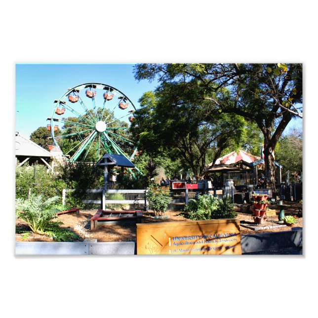 Santa Ana Zoo Fototryck (Framsidan)