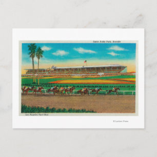 Santa Anita Park Horse RacesArcadia, CA Vykort