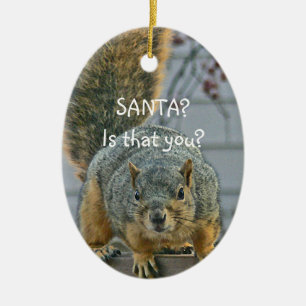 "SANTA, ÄR DET DU?" WIDE-EYED SQUIRREL ORNAMEN JULGRANSPRYDNAD KERAMIK