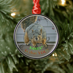 "SANTA, ÄR DET DU?" WIDE-EYED SQUIRREL ORNAMEN JULGRANSPRYDNAD METALL