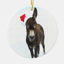 Santa åsna