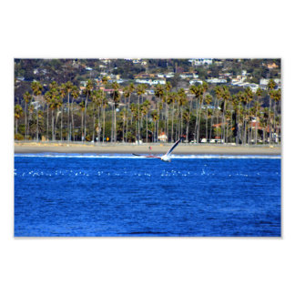 Santa Barbara, CA Fototryck