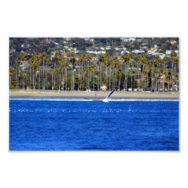 Santa Barbara, CA Fototryck (Framsidan)