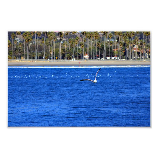 Santa Barbara, CA Fototryck (Framsidan)