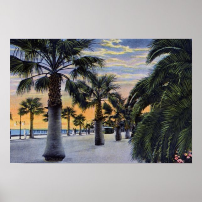 Santa Barbara California Seaside Boulevard Poster (Framsidan)