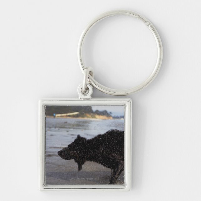 Santa Barbara Kalifornien, USA Fyrkantig Silverfärgad Nyckelring (Framsidan)