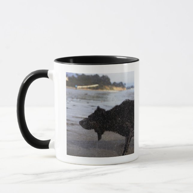 Santa Barbara Kalifornien, USA Mugg (Vänster)