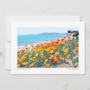 Santa Barbara Poppies Julkort