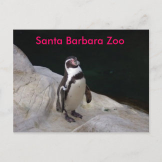 Santa Barbara Zoo Vykort