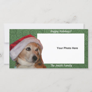 Santa Beagle Photo jul Card Julkort