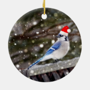 Santa blått Jay Julgransprydnad Keramik