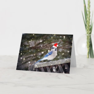 Santa Blue Jay Helgkort