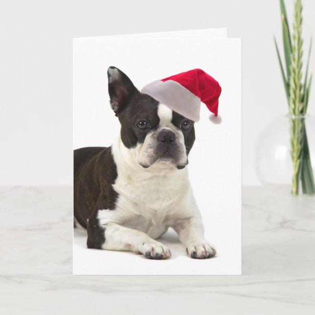 Santa Boston Terrierjulkort Helgkort (Framsida)