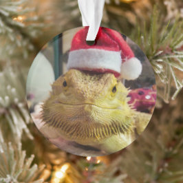 Santa Bubbs Acrylic Ornament