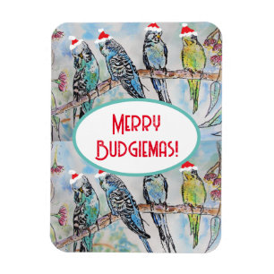 Santa Budgie jul vattenfärg målning Fågel Magnet