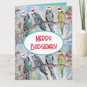 Santa Budgie jul Watercolor Painting Bird Kort