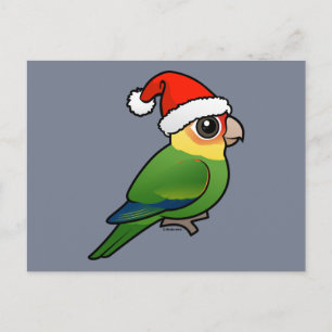 Santa Carolina Parakeet Helg Vykort