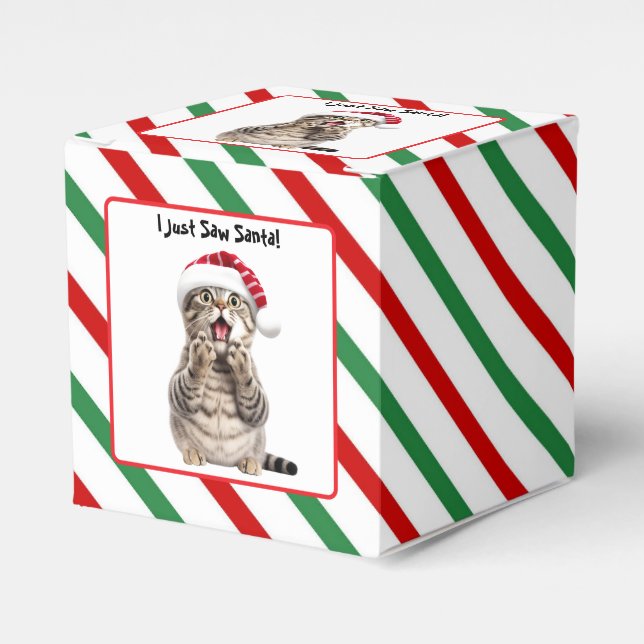 Santa Cat Cute - den vackra julklappsfavoritboxen Presentaskar (Framsidan Sidan)