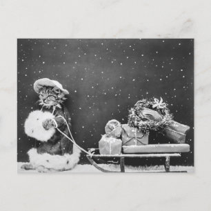 Santa Cat, en Jultomten-katt Vykort