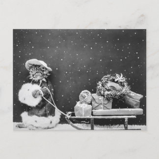 Santa Cat, en Jultomten-katt Vykort