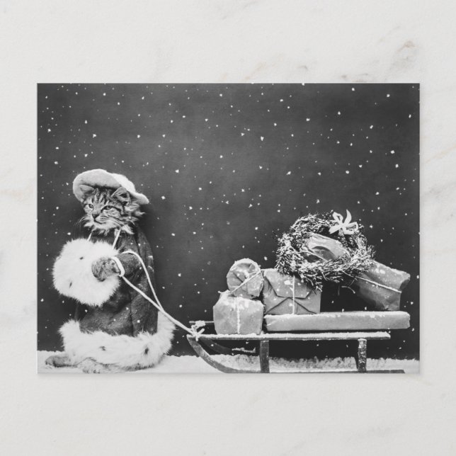 Santa Cat, en Jultomten-katt Vykort (Framsida)