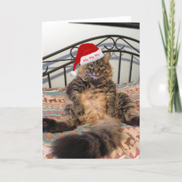 Santa Cat Gets Cookies julkort Helgkort