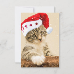 Santa Cat-jul Tack Kort