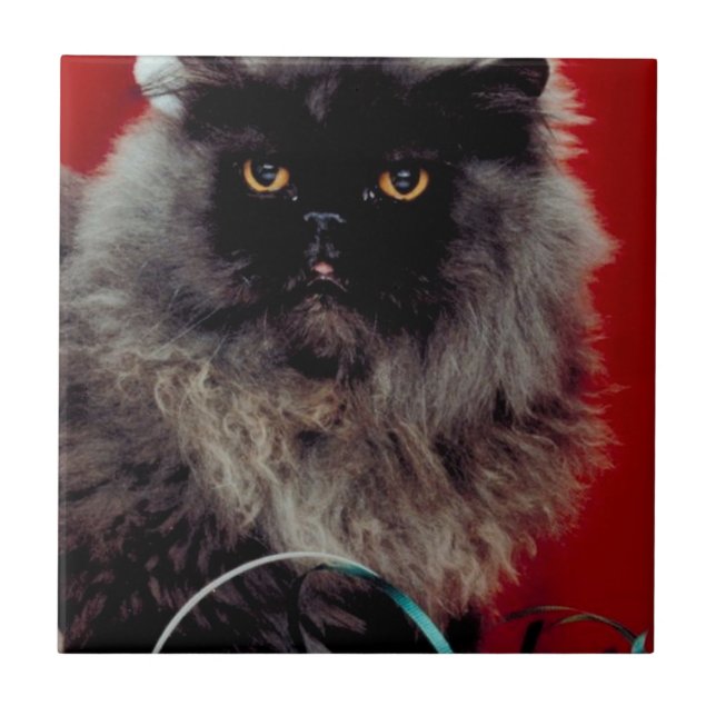 Santa Cat Kakelplatta (Framsidan)